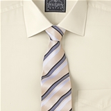 Cream Plain Poplin Shirt