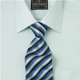Mint Royal Twill Shirt